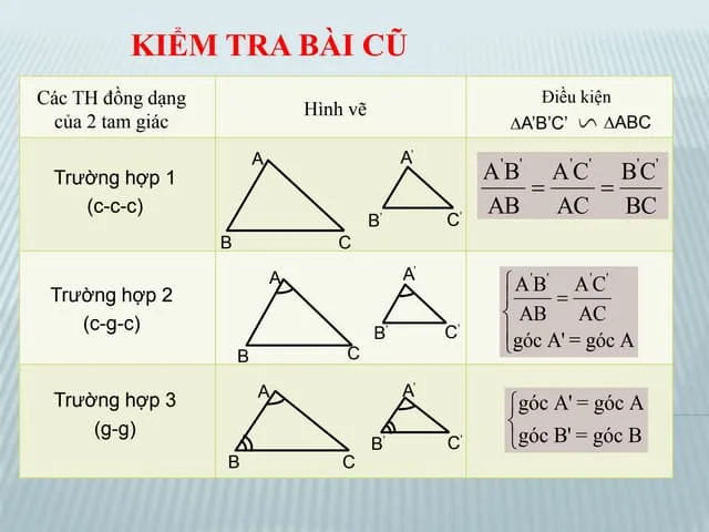 Các trường hợp đồng dạng của tam giác vuông