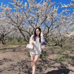 484338633 667598625646013 1275482642759292693 N