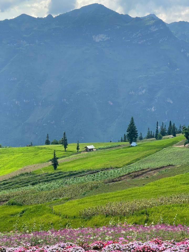 535378978 770676478803669 2362012480166740677 N