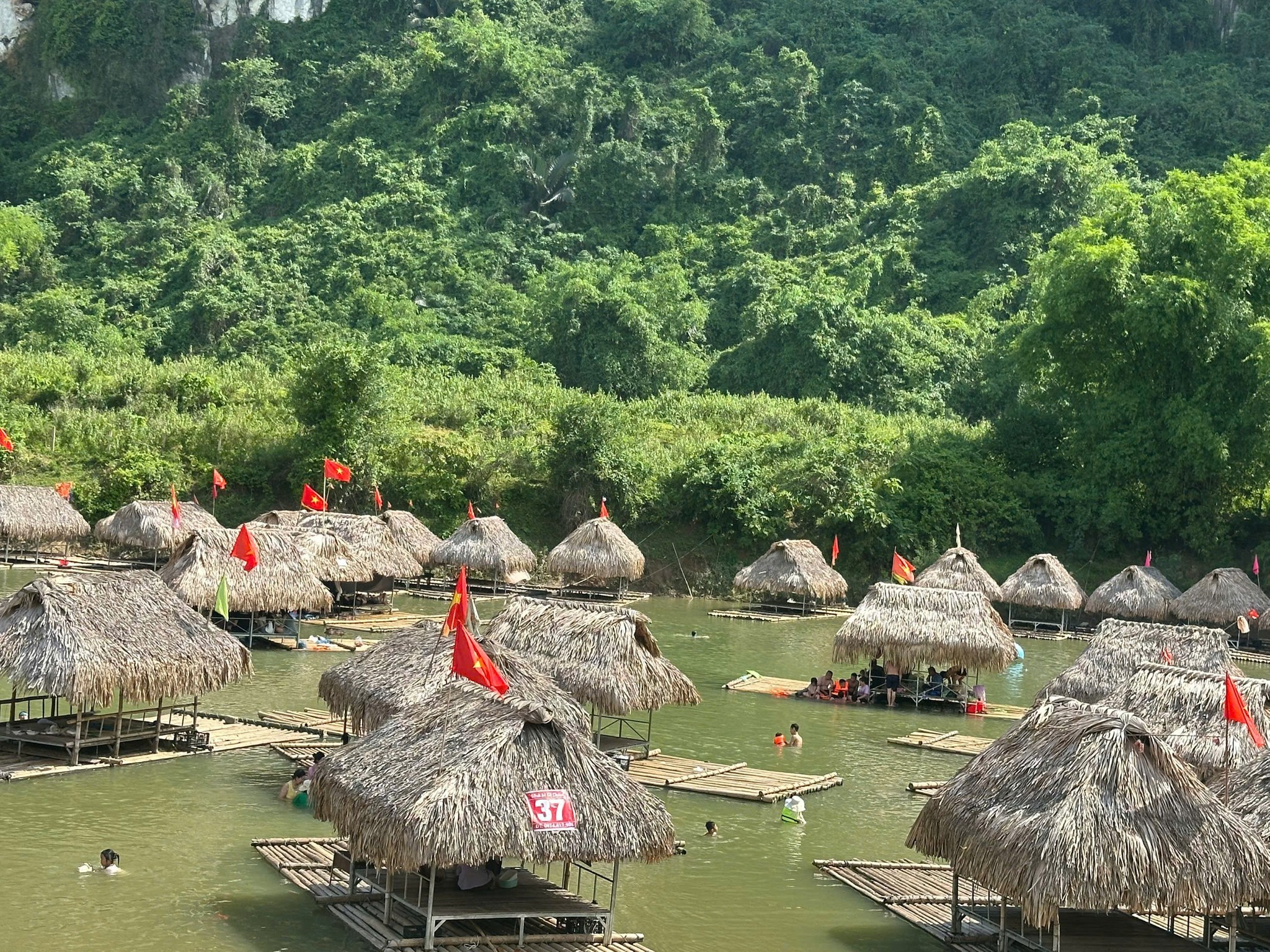 505317207 122116451042869292 3203874128415470539 N