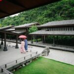 494456747 10039725899392714 2177542361452724596 N