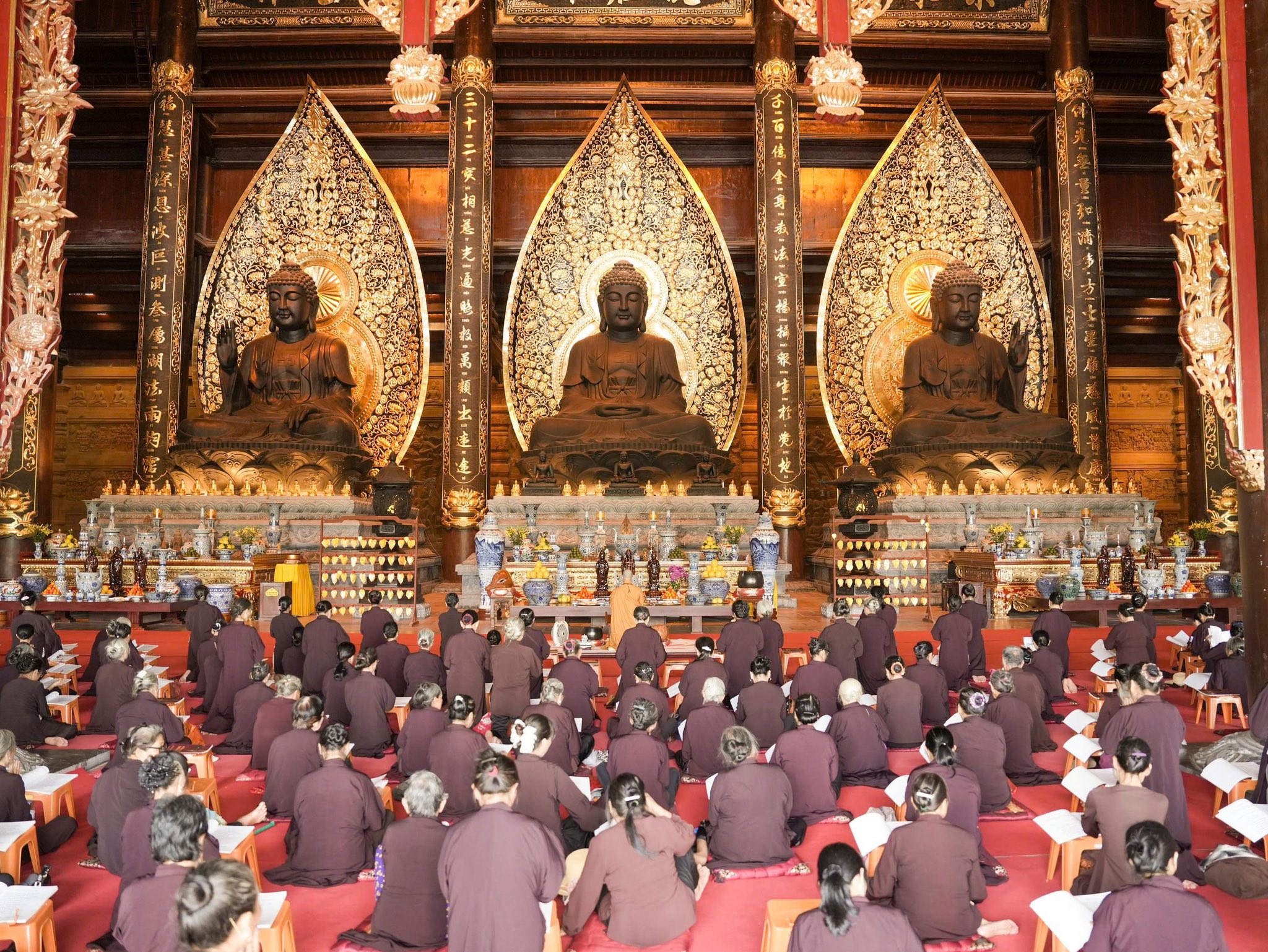 550338686 1280407744126778 956034855316152903 N