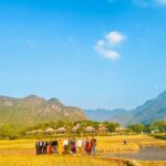 487184264 1111784774303455 6768115379796487444 N